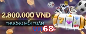 vn68