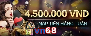 vn68
