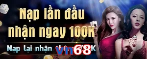 vn68